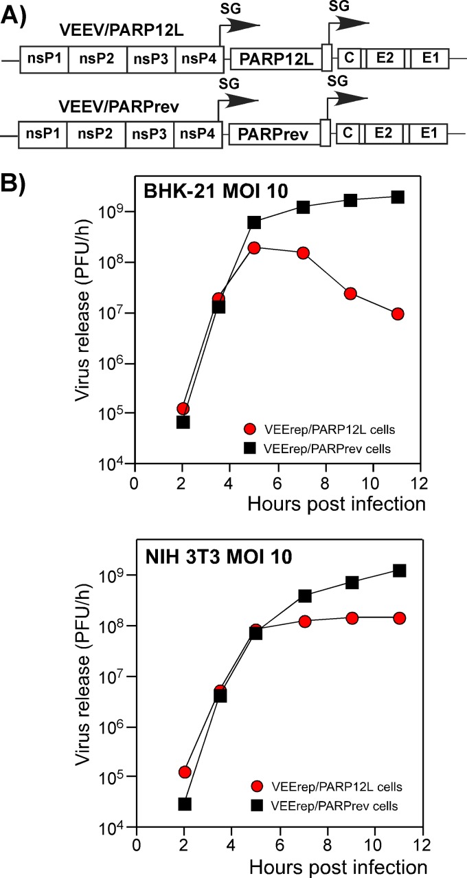 Fig 7