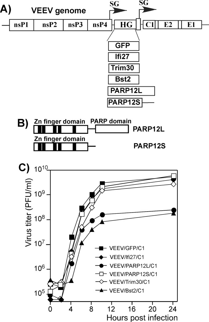 Fig 5