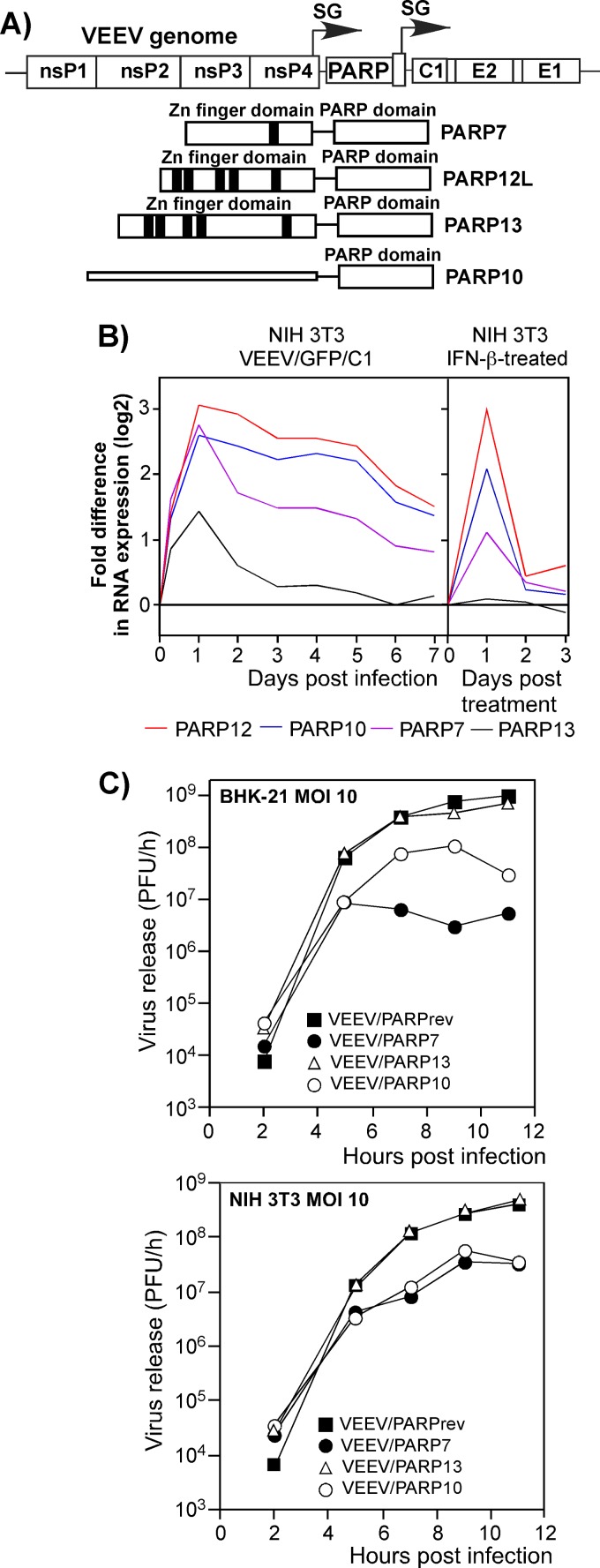 Fig 10