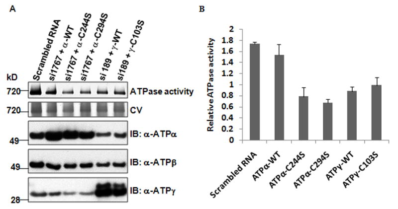 Figure 6