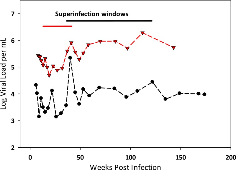 FIG 2