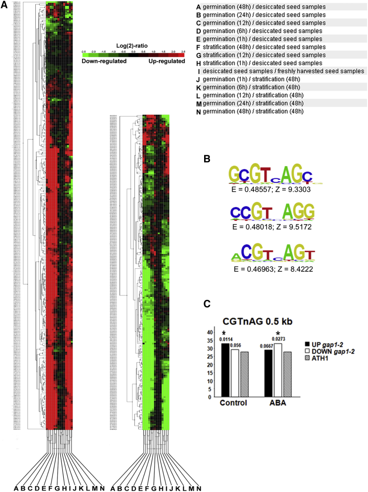 Figure 2