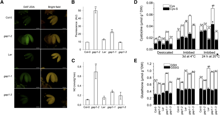 Figure 3