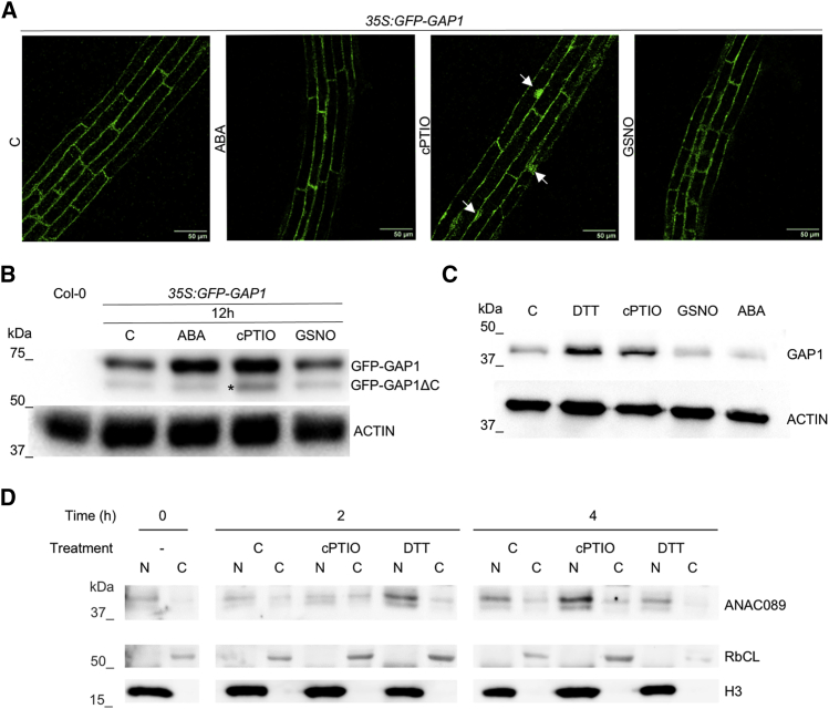 Figure 4