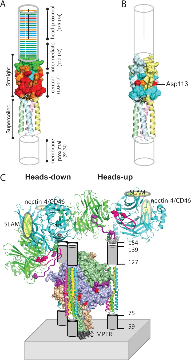 FIGURE 6.