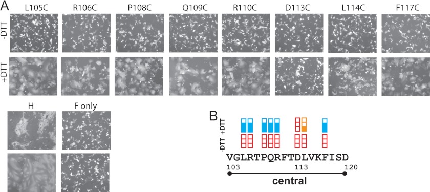 FIGURE 5.