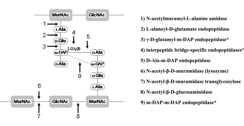 Fig. (2)