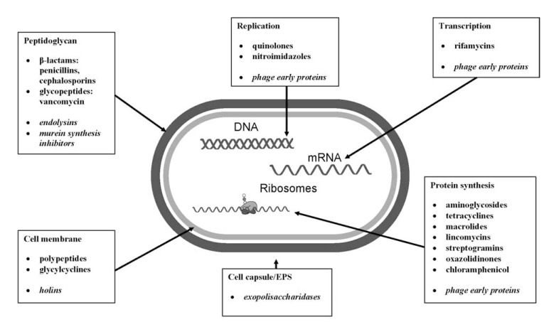 Fig. (1)