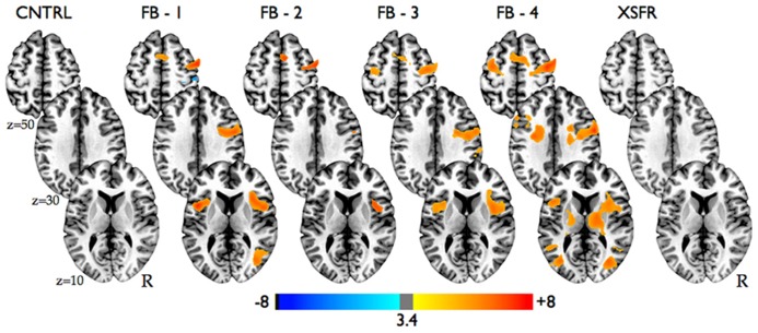 FIGURE 3