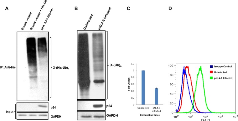 FIG 1