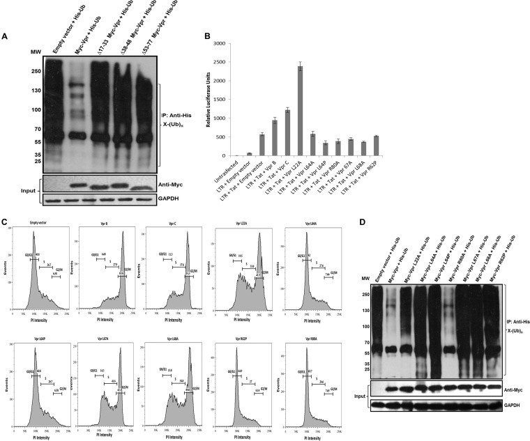 FIG 3