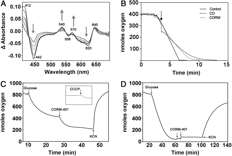 FIG. 7.