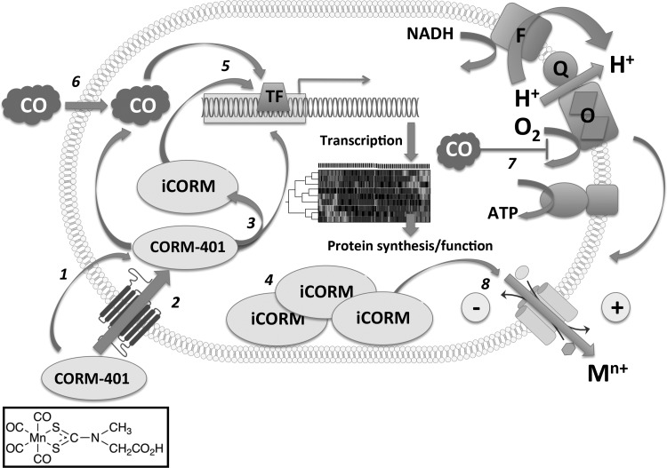 FIG. 14.