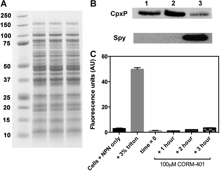 FIG. 12.