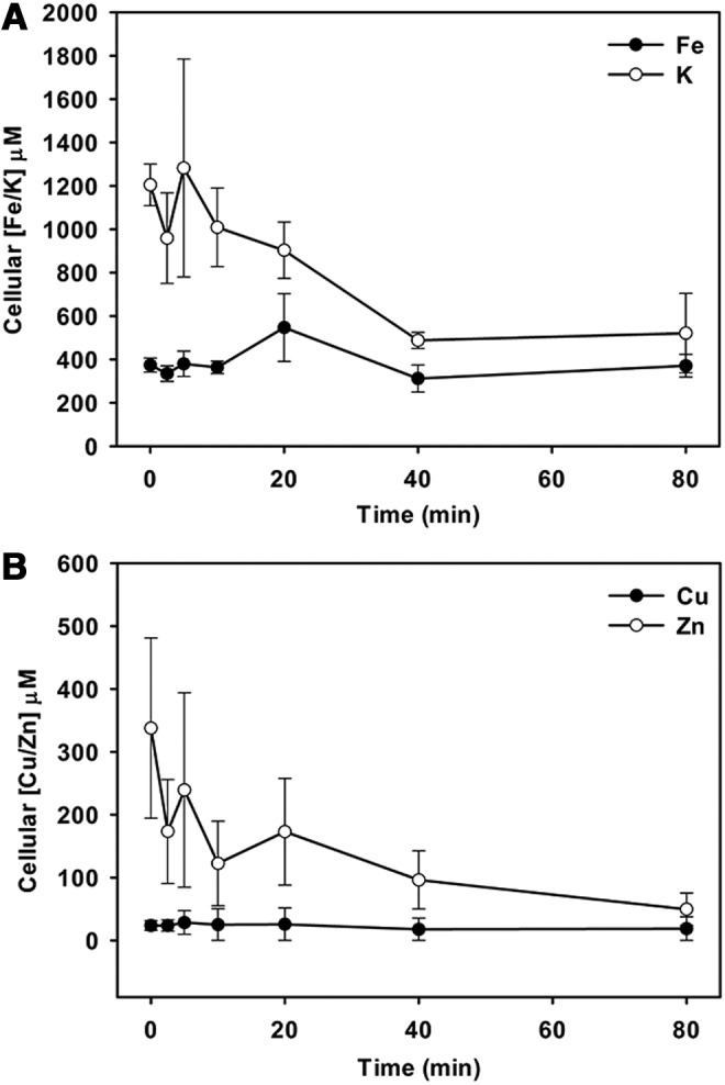 FIG. 10.