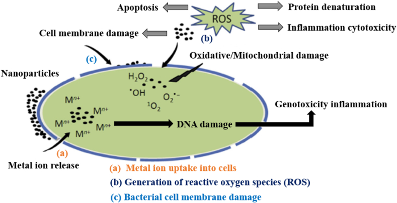 Figure 3