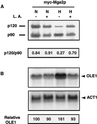 FIG. 9.