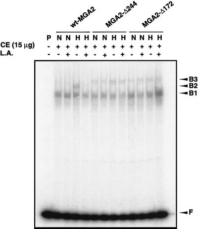 FIG. 8.