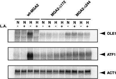 FIG. 7.