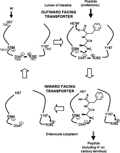 Fig. 9