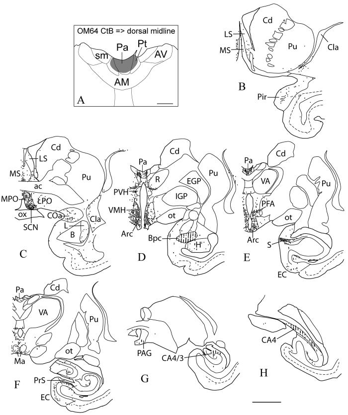 Fig. 8