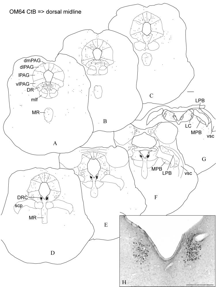 Fig. 9