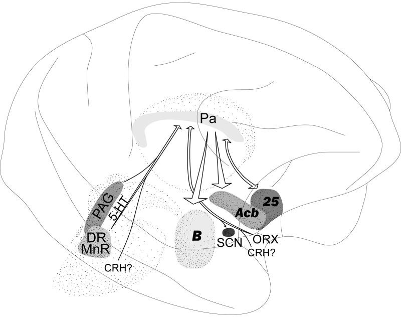 Fig. 14