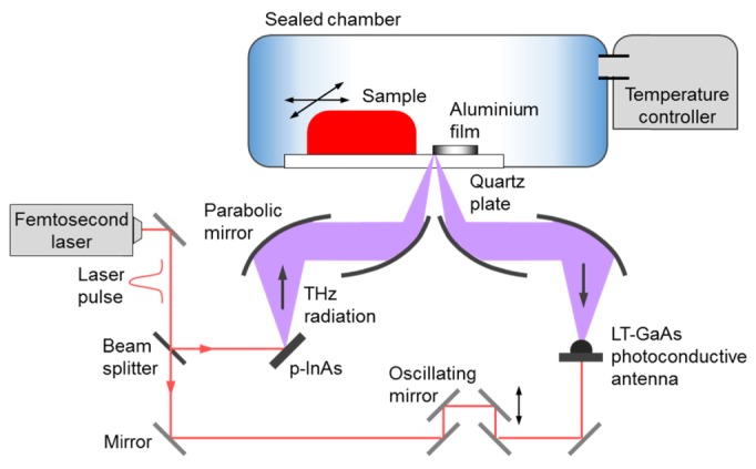 Fig. 2