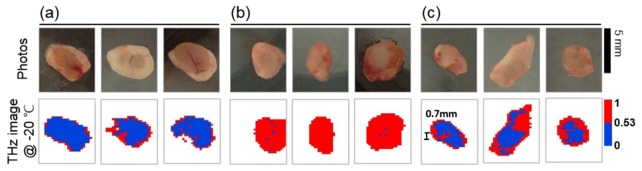 Fig. 7