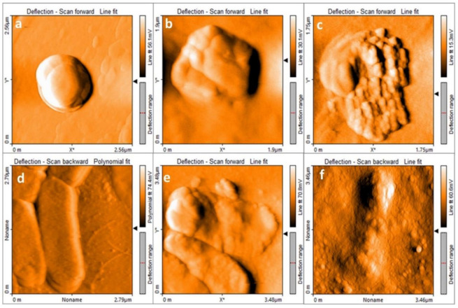 Figure 13