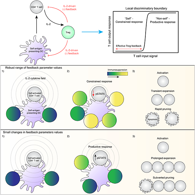 graphic file with name nihms-1716483-f0001.jpg