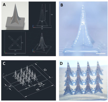 FIGURE 2