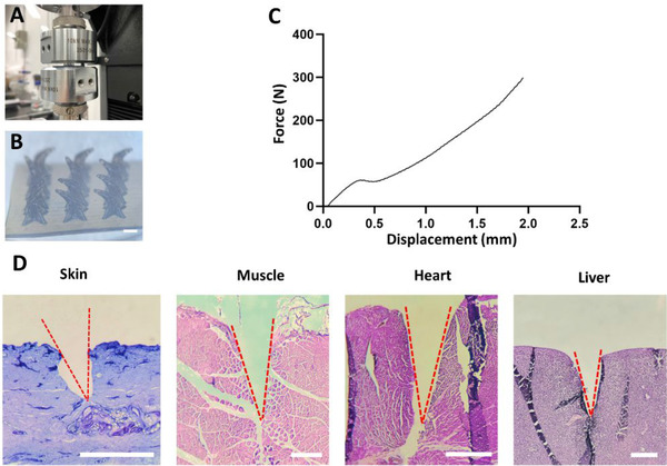 FIGURE 3