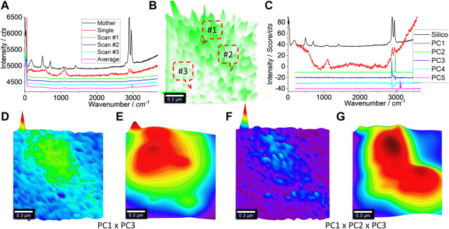 FIGURE 6