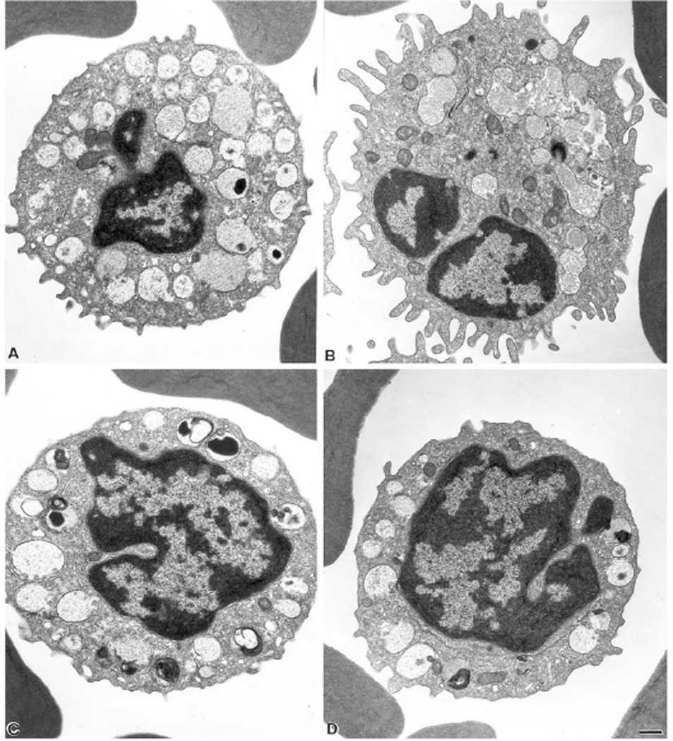 Fig. 5