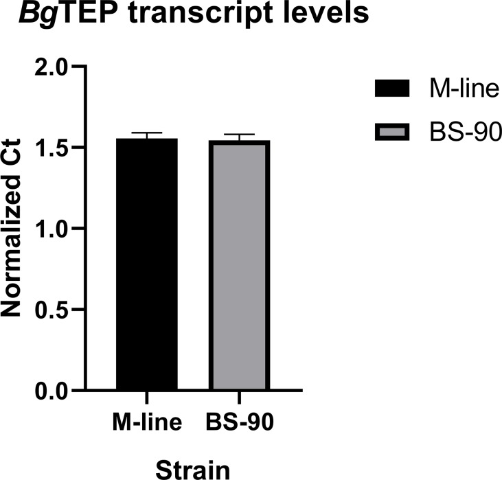 Figure 1—figure supplement 1.