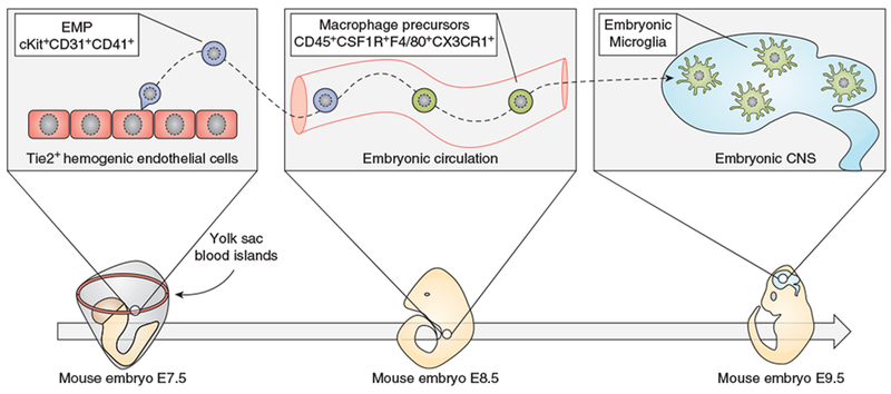 Figure 1: