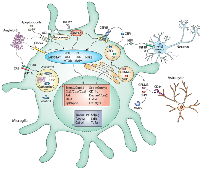 Figure 2: