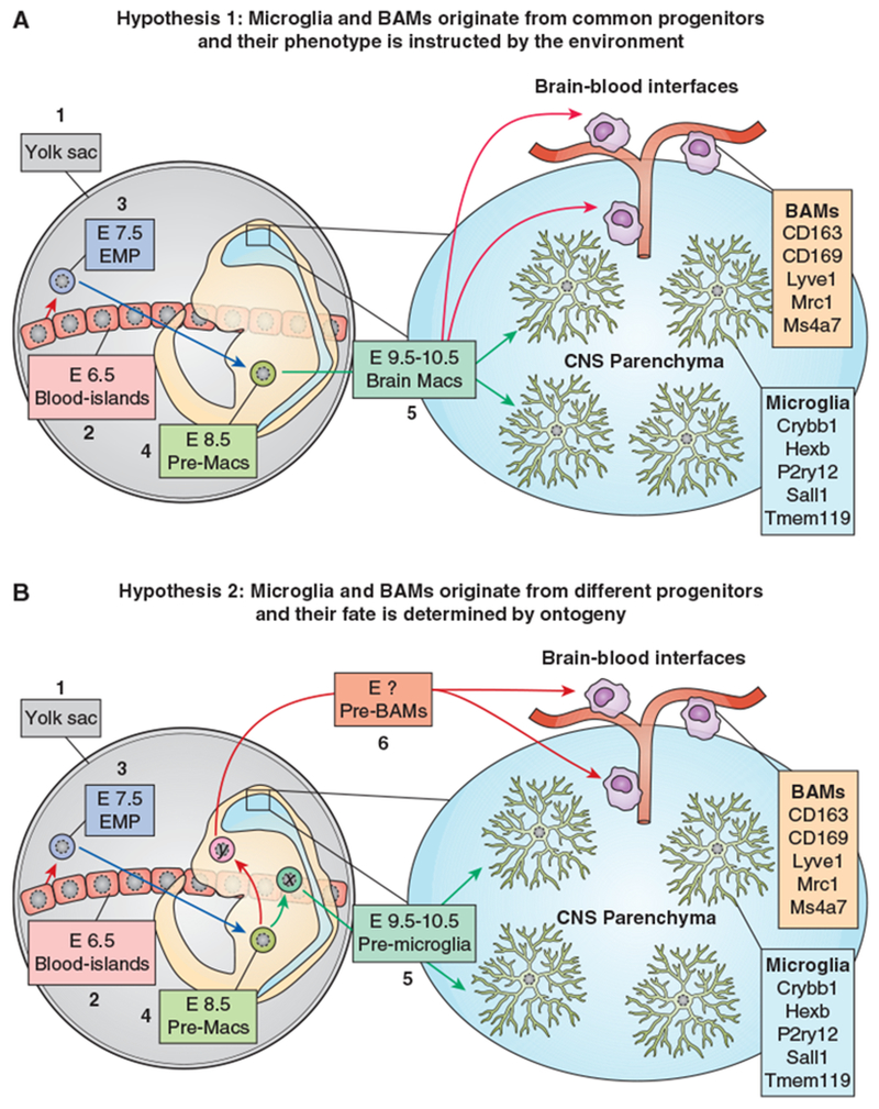 Figure 4: