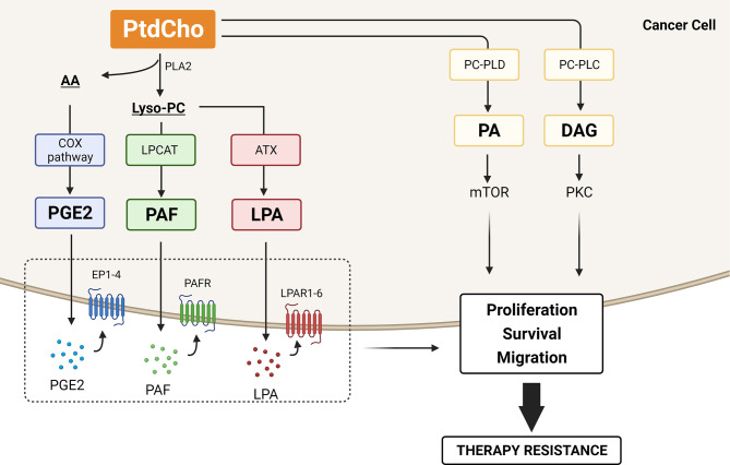 Figure 4