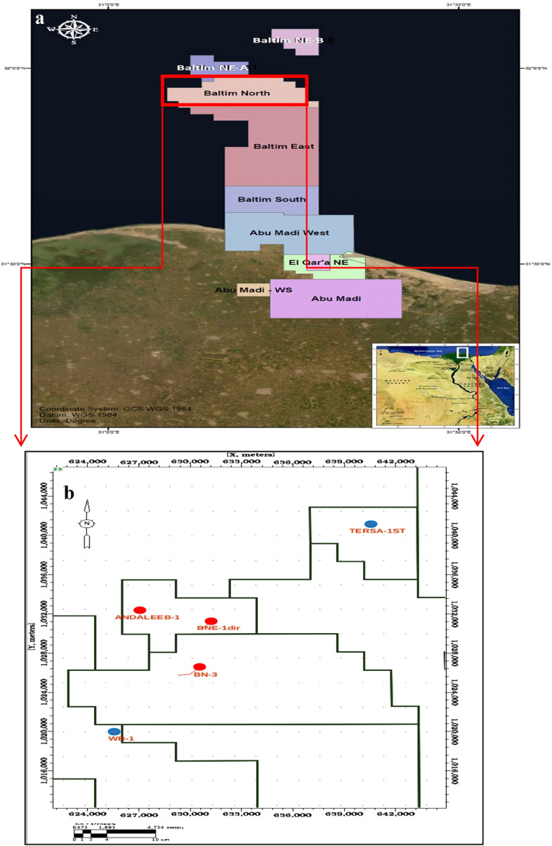 Fig. 4