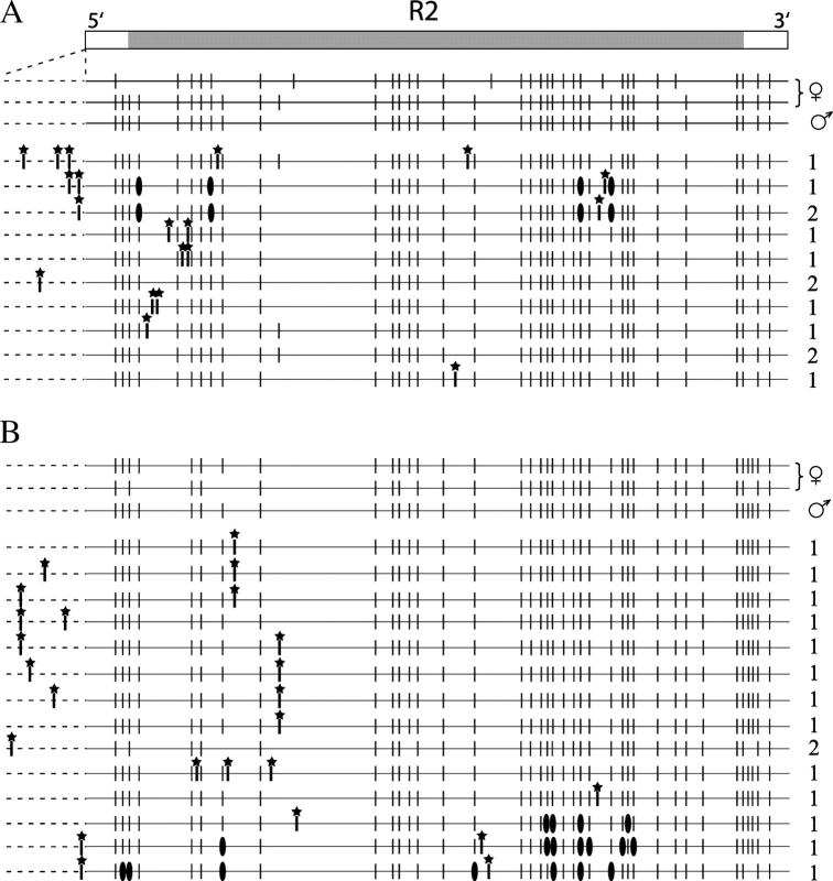 Figure 5.—