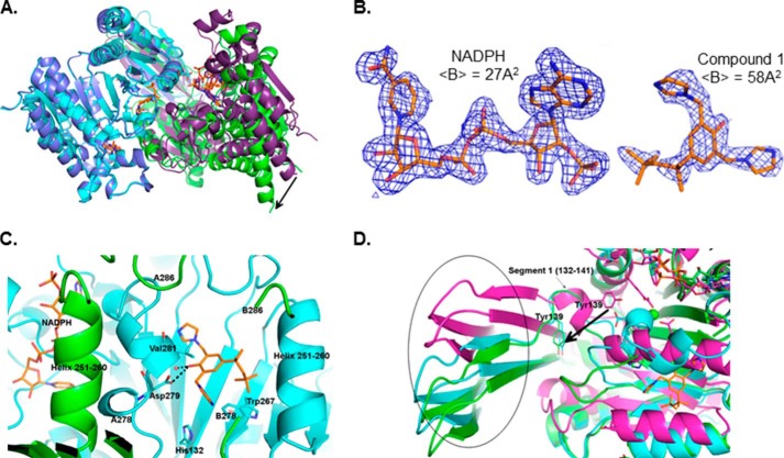 FIGURE 5.