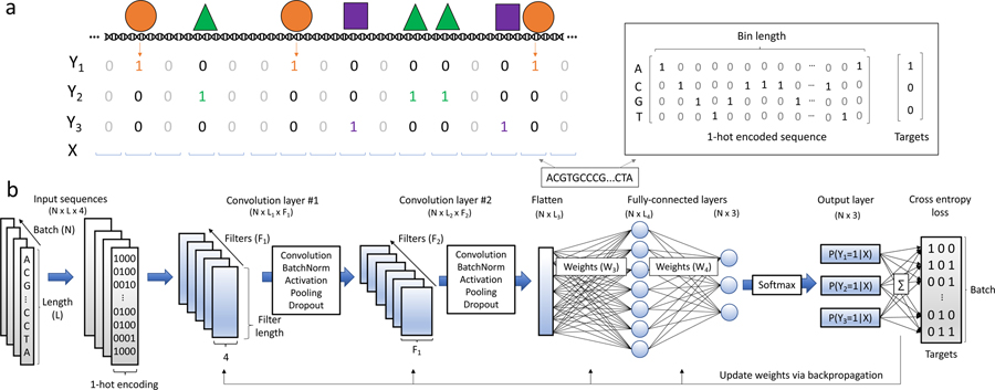 Figure 1: