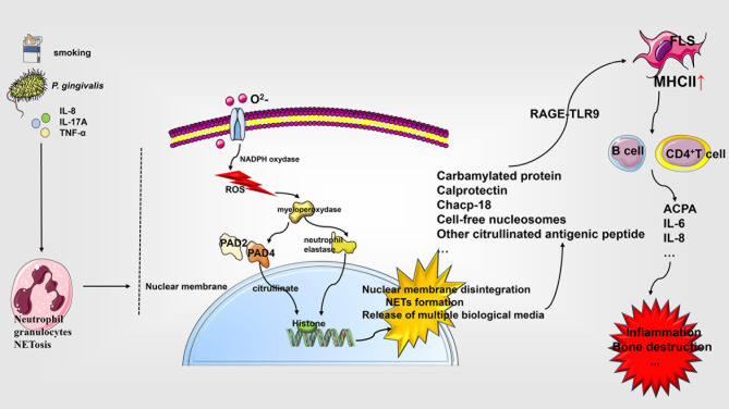 Figure 3