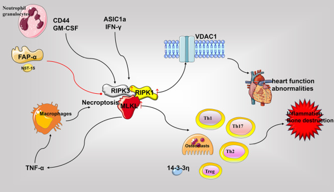 Figure 4