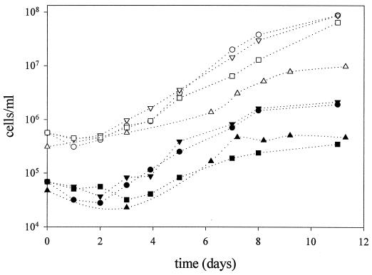 FIG. 3