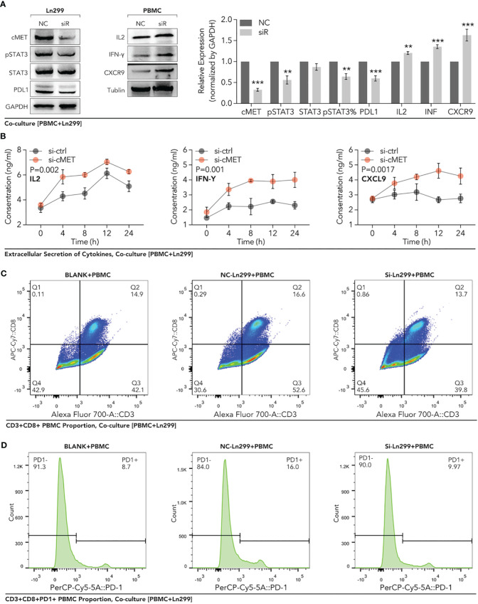 Figure 12