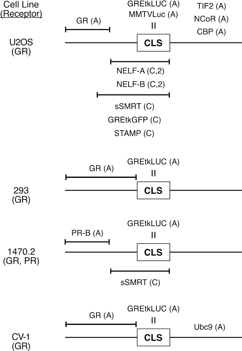 FIGURE 7.