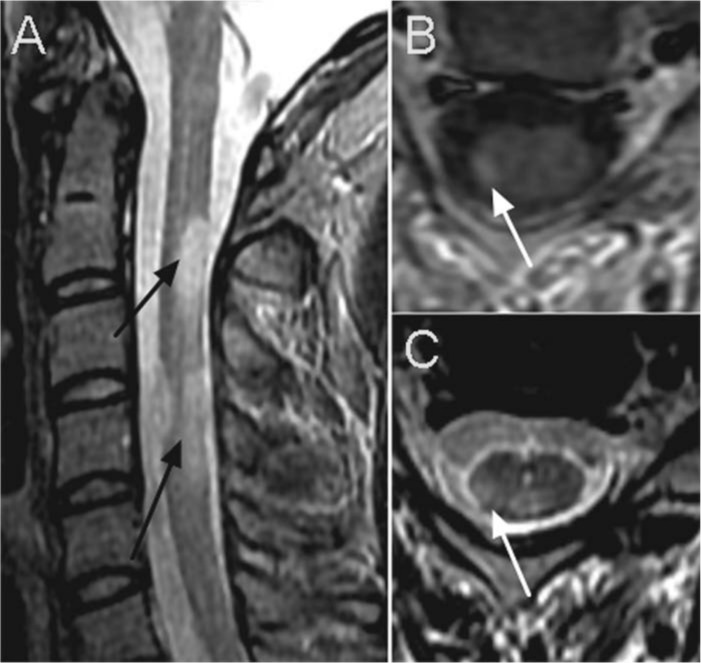 Figure 3.